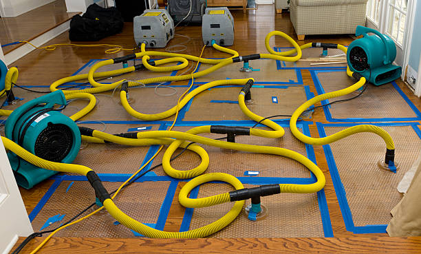Professional Water Damage Restoration technician working in Greenwood, MS